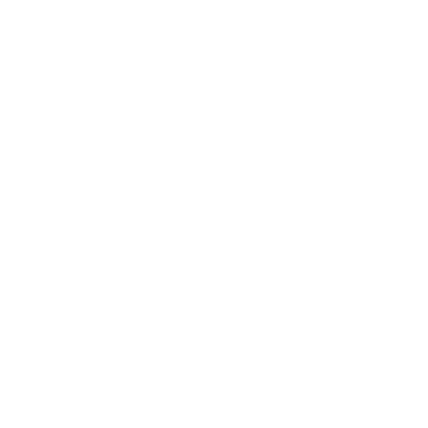 Giftshop Icon